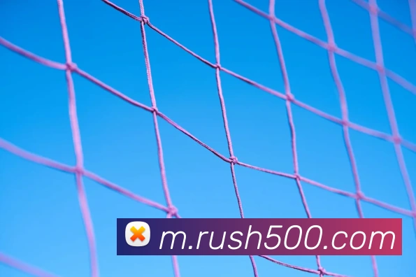 500彩票服务体系